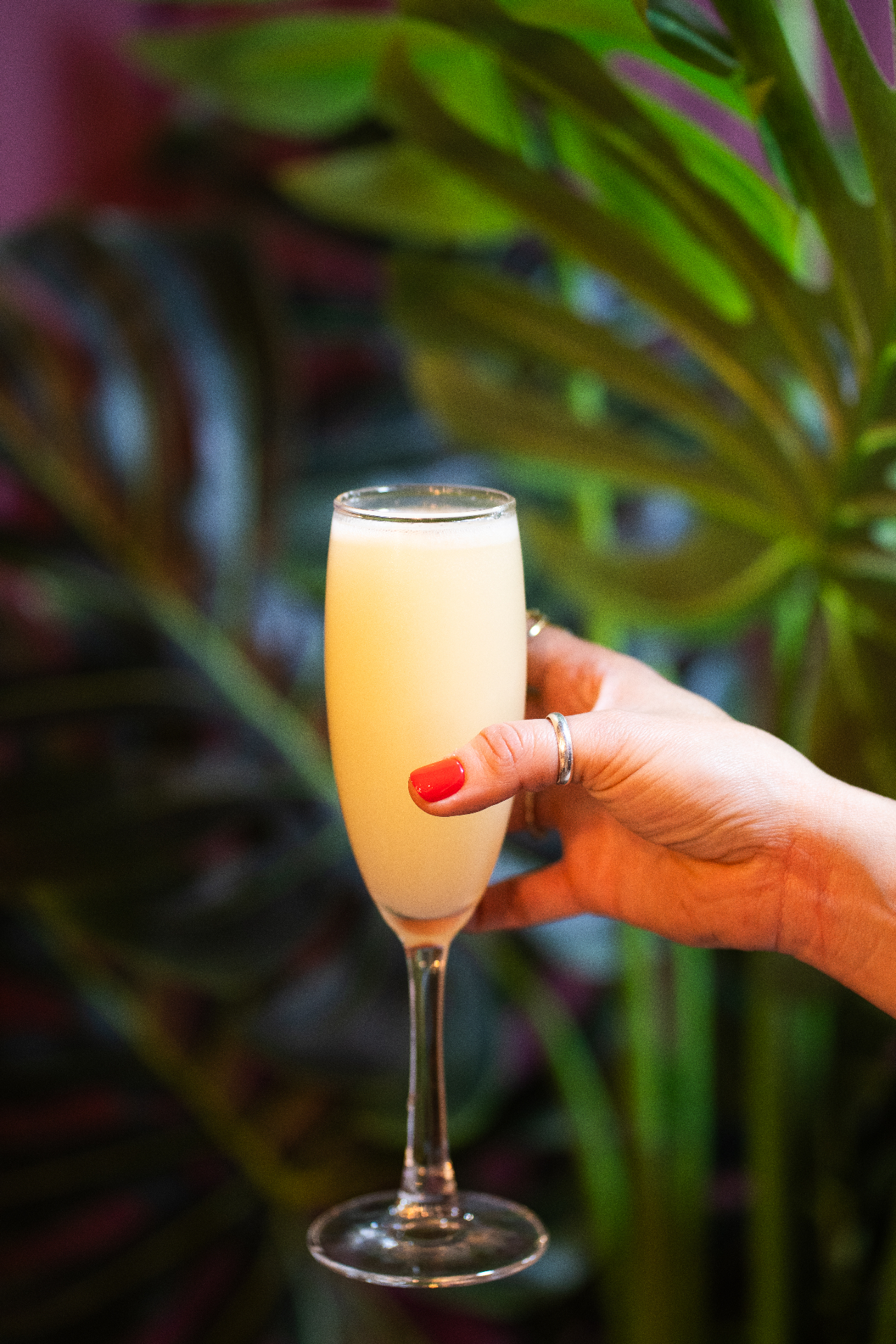 Pisco sour de autor en Santolia, coctelería en San Pedro de la Paz